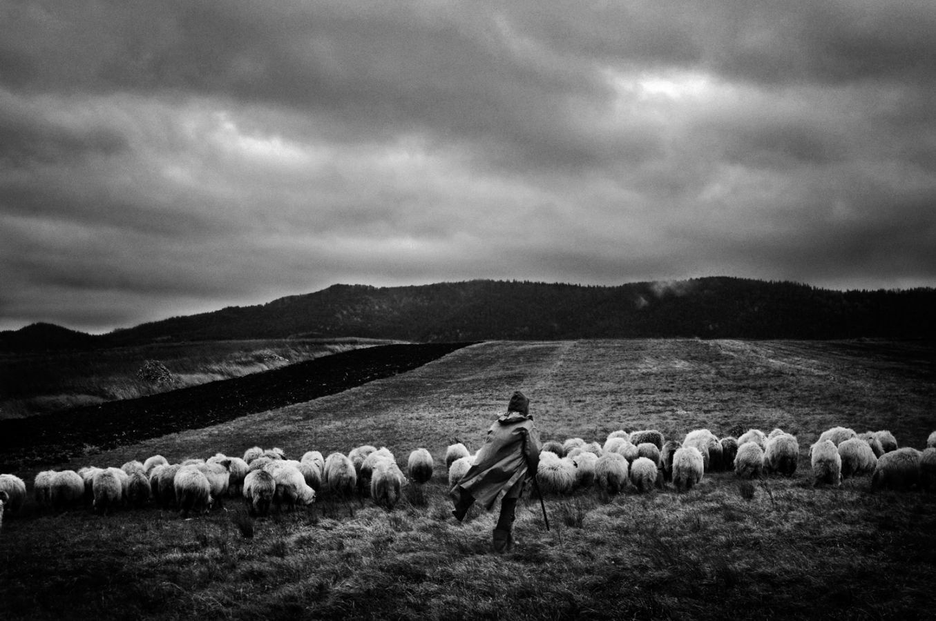The shepherd in Moldova, Romania