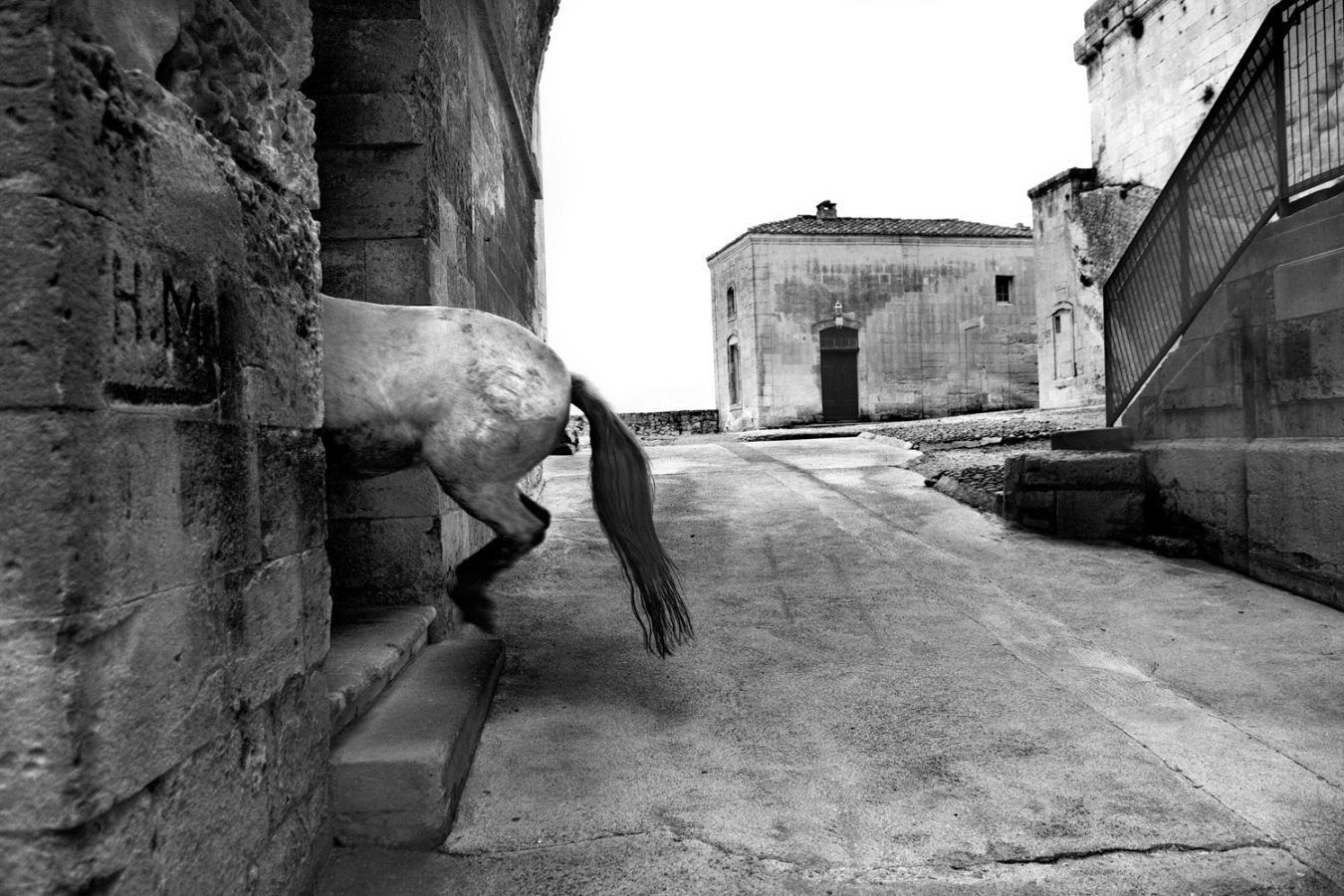 Le cheval rentrant dans la cathédrale, Abbaye de Montmajour